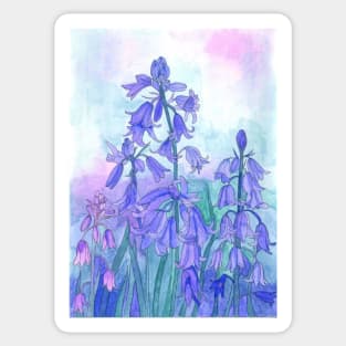 Bluebells painting in watercolor Sticker